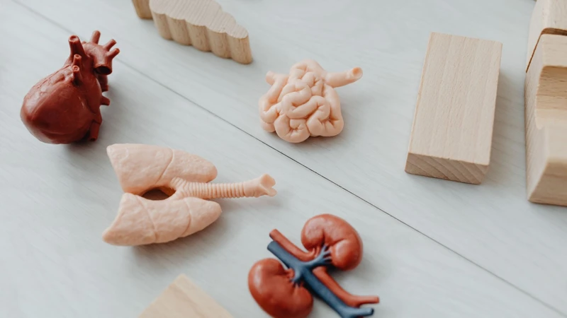 Rối loạn lo âu có thể do bệnh lý thực thể từ cơ quan khác