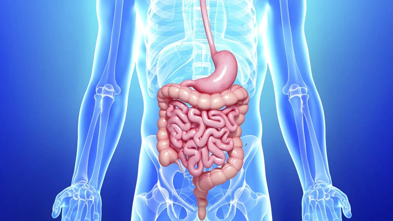 Rửa ruột là gì? Quy trình thực hiện và những lưu ý cần biết 1