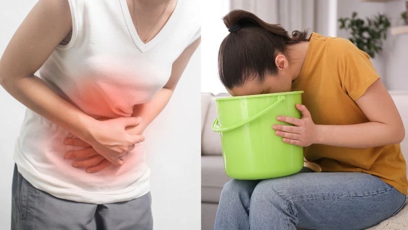 Sán chó có lây không? Nhiễm sán chó nguy hiểm như thế nào? 2