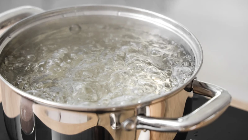 Phòng ngừa sán chó ở mắt hiệu quả