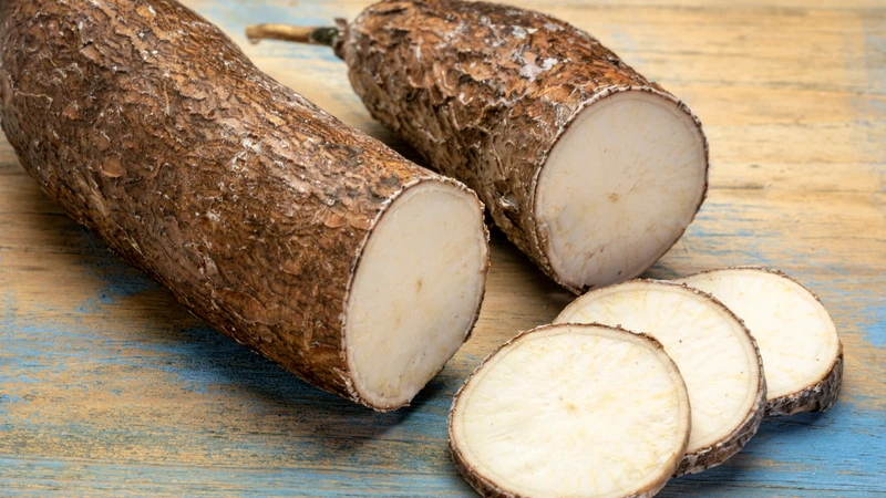 Carbohydrate là thành phần dinh dưỡng chiếm tỷ lệ cao nhất trong khoai mì