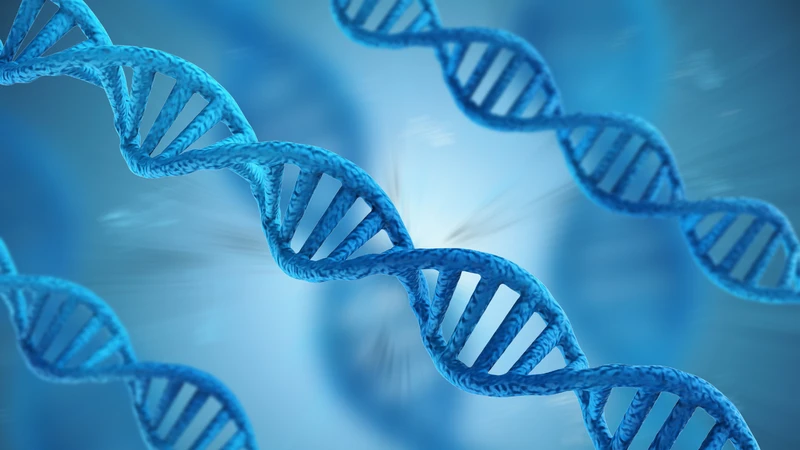 Những thay đổi bất thường trong tế bào và gen có thể liên quan đến sự hình thành sarcoma tế bào hình thoi
