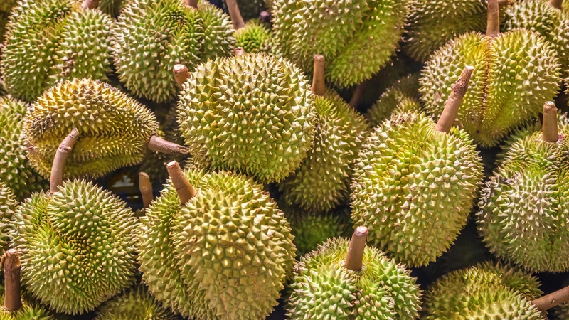 Sầu riêng cung cấp nhiều vitamin và khoáng chất thiết yếu cho cơ thể