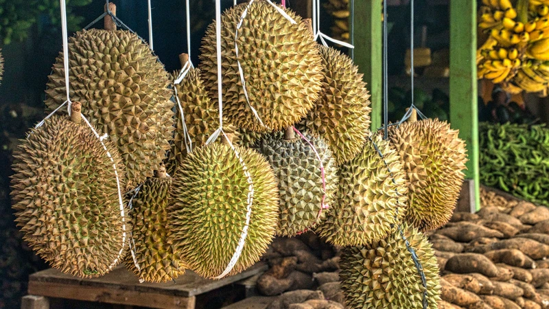 Cadimi thường gây hại khi tích tụ lâu dài trong cơ thể qua quá trình tiếp xúc lặp đi lặp lại