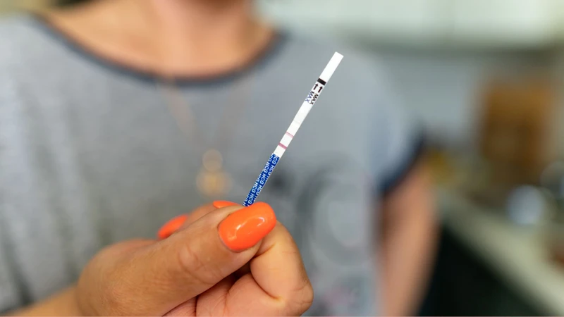 Que thử rụng trứng phát hiện sự gia tăng hormone LH trong nước tiểu