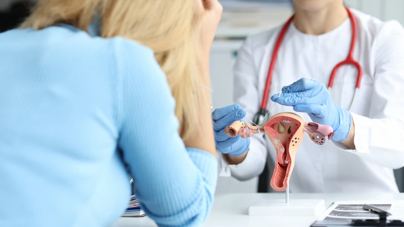 Siêu âm đầu dò giúp phát hiện ứ dịch vòi trứng, gợi ý tắc nghẽn và hỗ trợ bác sĩ chỉ định chẩn đoán chuyên sâu