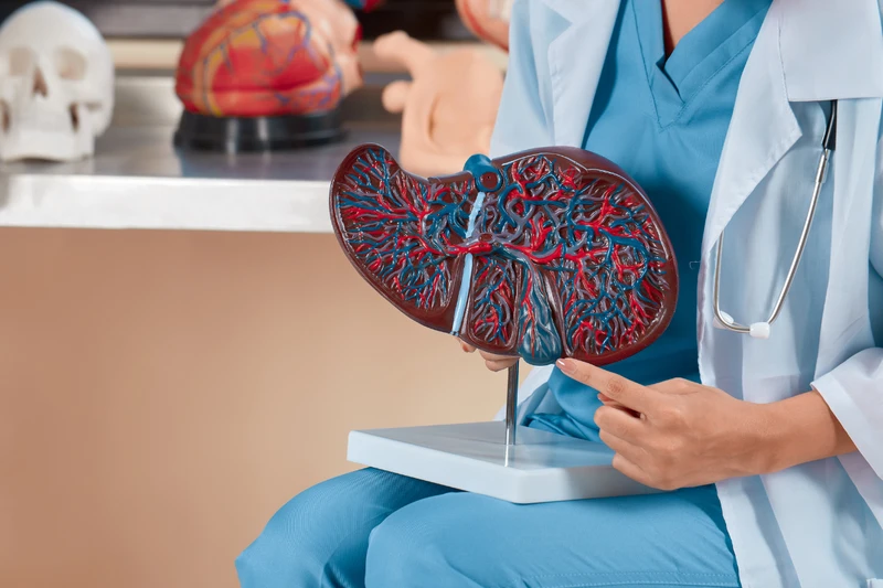 Siêu âm gan mật là gì? 10 bệnh tiềm ẩn nguy hiểm được phát hiện 4