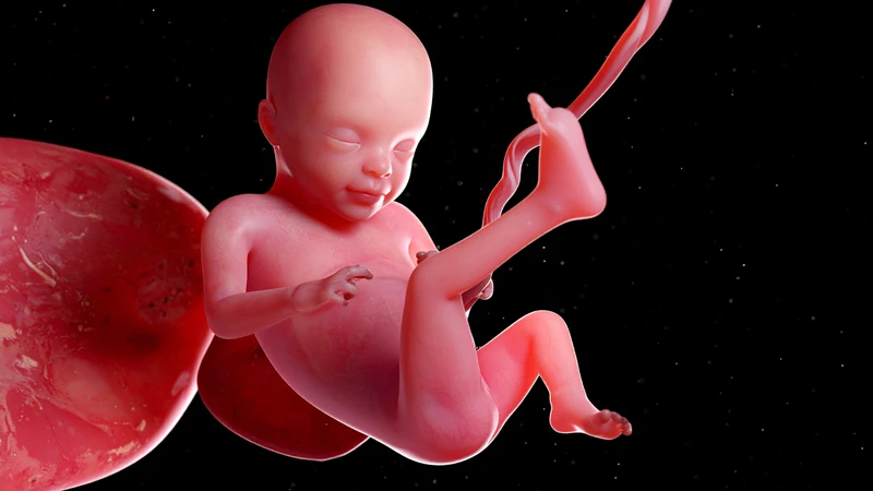 Thai nhi có kích thước lớn hơn lần sinh trước, chuyển dạ có thể kéo dài và khó khăn hơn
