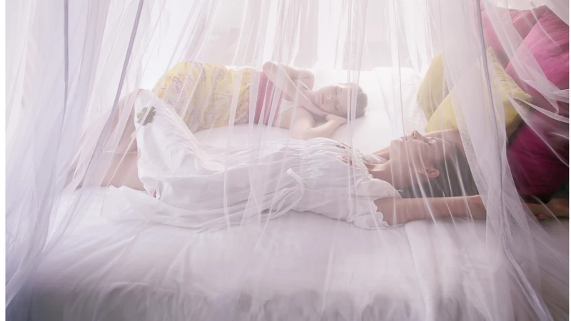Ngủ màn giúp phòng ngừa sốt rét