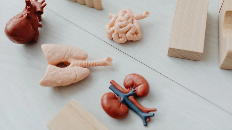 Biến chứng sỏi niệu quản gây suy giảm chức năng thận