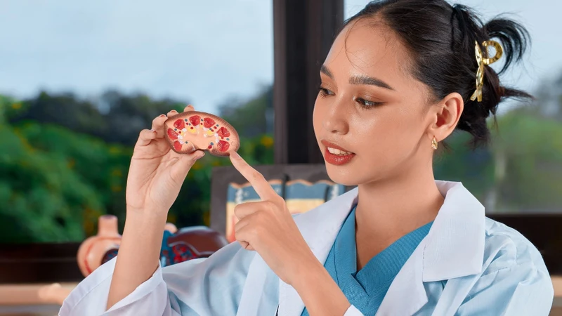 Sỏi đường tiết niệu có nguy hiểm không​? Tình trạng này có thể gây biến chứng nguy hiểm
