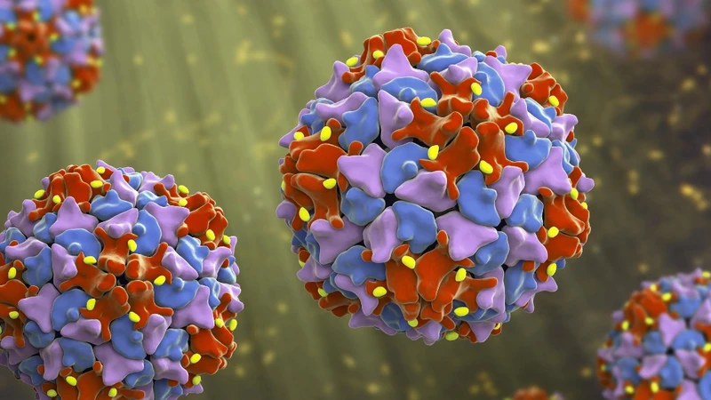 Virus bại liệt dễ lây do tồn tại lâu, thải nhiều qua phân và lan mạnh ở nơi vệ sinh kém