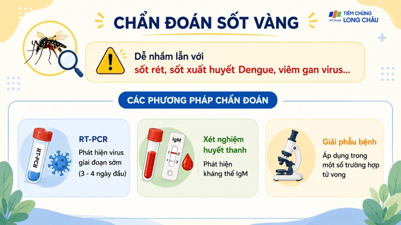 Chẩn đoán sốt vàng có thể gặp khó khăn vì các triệu chứng thường không đặc hiệu và dễ nhầm lẫn