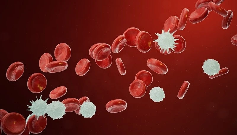 Bệnh máu ác tính có thể gây ra các cơn sốt về chiều và đêm