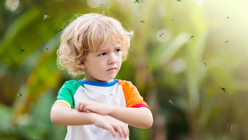 Sốt xuất huyết có chết không? Phòng ngừa như thế nào? 4