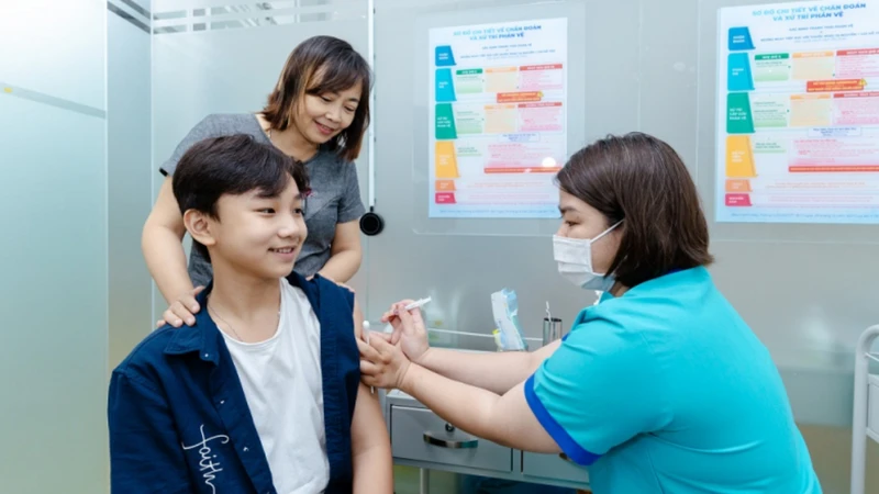 Sốt xuất huyết có được ăn lá tía tô không?  4