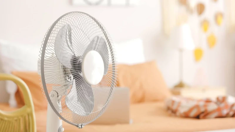 Sốt xuất huyết có kiêng gió không? Hiểu đúng để chăm sóc người bệnh hiệu quả 4