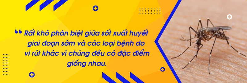 sot-xuat-huyet-dengue-2.png