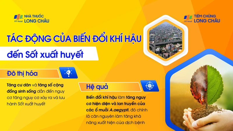 sot-xuat-huyet-dengue-6.png