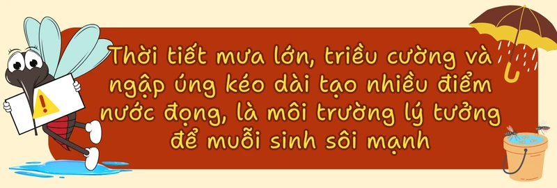 sot-xuat-huyet-dien-bien-phuc-tap-nguoi-lon-tang-nguy-co-mac-benh-11.png