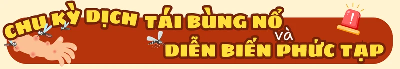 sot-xuat-huyet-dien-bien-phuc-tap-nguoi-lon-tang-nguy-co-mac-benh-4.png