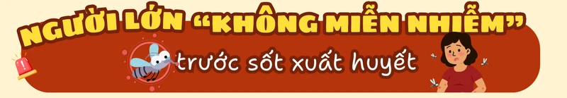 sot-xuat-huyet-dien-bien-phuc-tap-nguoi-lon-tang-nguy-co-mac-benh-5.png