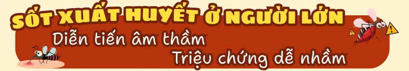 sot-xuat-huyet-dien-bien-phuc-tap-nguoi-lon-tang-nguy-co-mac-benh-6.png