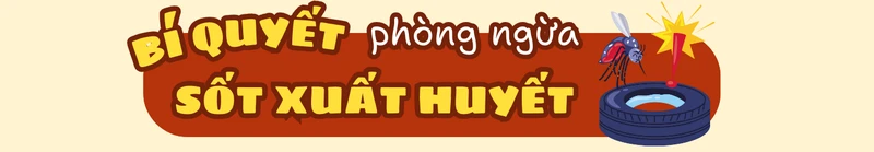 sot-xuat-huyet-dien-bien-phuc-tap-nguoi-lon-tang-nguy-co-mac-benh-9.png