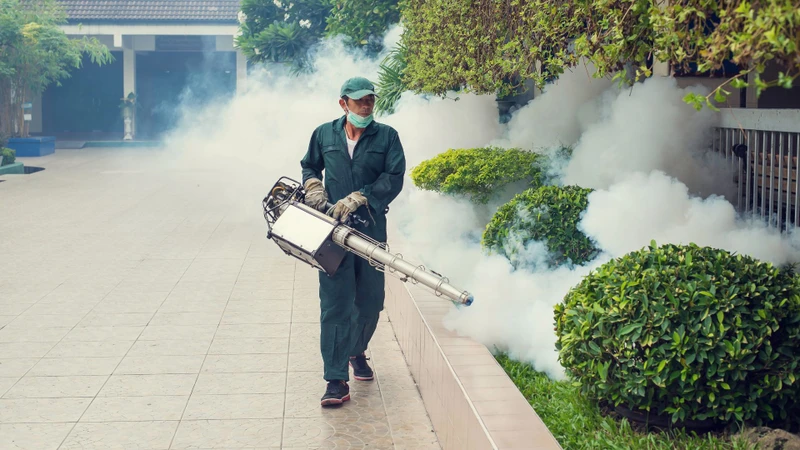 Sốt xuất huyết lây giai đoạn nào và lây qua những đường nào? 4