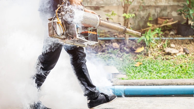 Loại bỏ nơi sinh sản của muỗi là biện pháp phòng bệnh hiệu quả