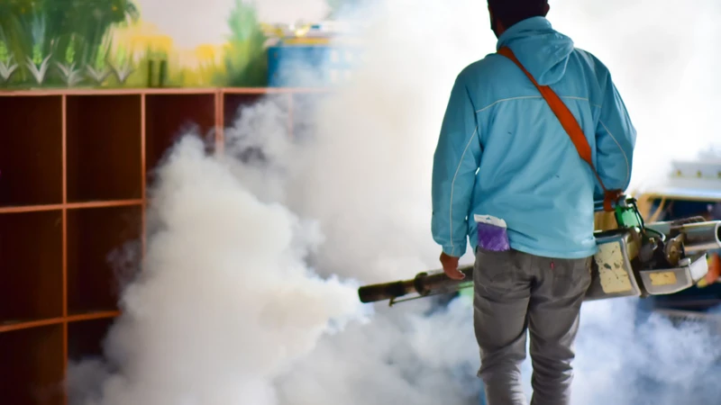 Sốt xuất huyết và sốt siêu vi: Phân biệt, so sánh và phòng ngừa 4