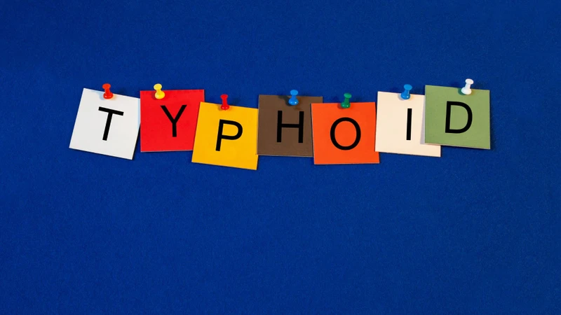 Thương hàn là bệnh nhiễm khuẩn toàn thân do vi khuẩn Salmonella Typhi gây ra