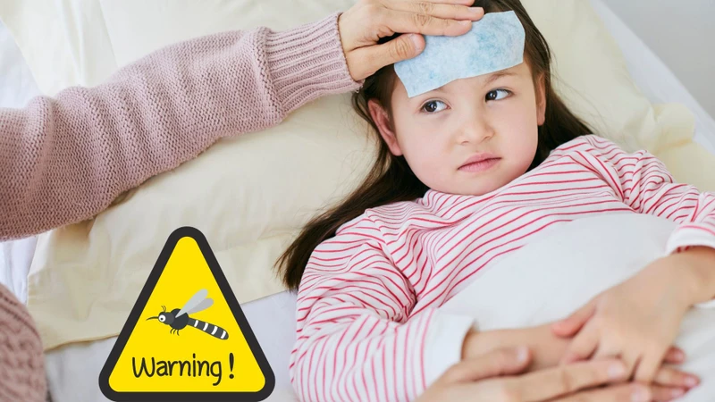 Sốt xuất huyết là bệnh truyền nhiễm cấp tính thường bùng phát vào mùa mưa