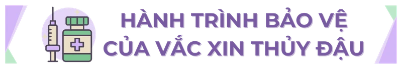 Sự cần thiết của việc tiêm phòng thủy đậu - Các bằng chứng khoa học về tính hiệu quả và an toàn của vắc xin H2 3
