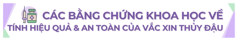 Sự cần thiết của việc tiêm phòng thủy đậu - Các bằng chứng khoa học về tính hiệu quả và an toàn của vắc xin H2 4