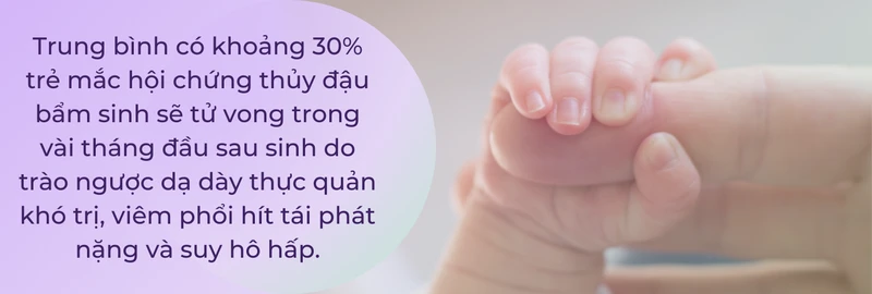 Sự cần thiết của việc tiêm phòng thủy đậu - Các bằng chứng khoa học về tính hiệu quả và an toàn của vắc xin Text 1