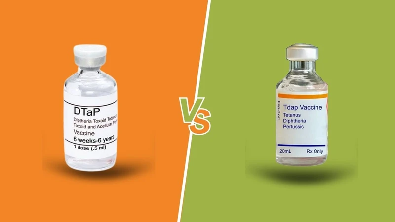 Sự giống và khác nhau giữa vắc xin Tdap và DTaP 2