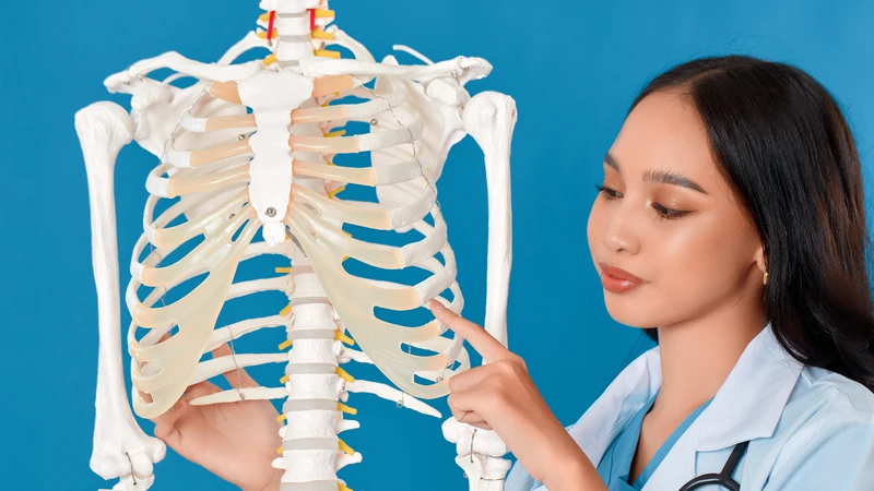Bổ sung canxi từ sữa chua giúp xương chắc khỏe mỗi ngày