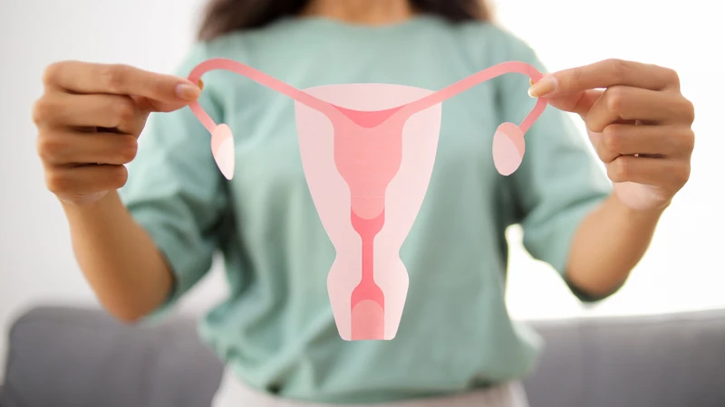 Suy buồng trứng nguyên phát có thể làm giảm estrogen, ảnh hưởng đến nội tiết tố nữ trước tuổi 40