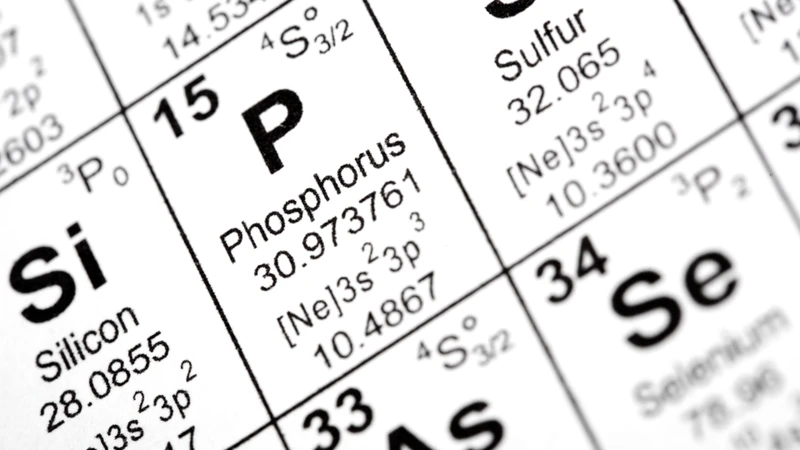 Phospho trong sữa chua là loại phospho hữu cơ nhưng vẫn được tính vào tổng khẩu phần và nguy cơ tích lũy