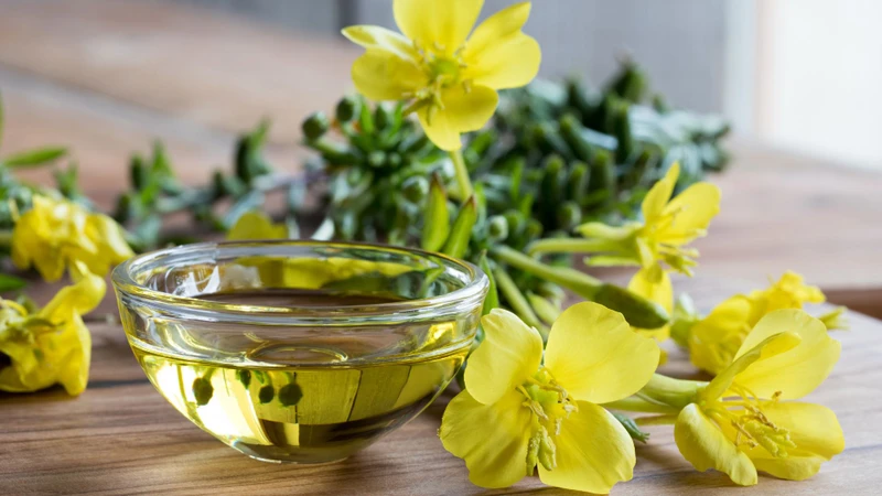Tinh dầu hoa anh thảo là dầu chiết xuất từ hạt cây hoa anh thảo