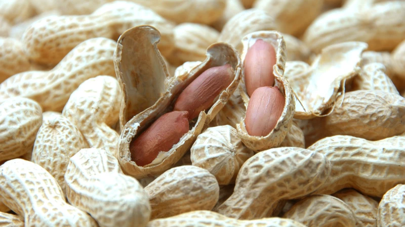 Người bị dị ứng đậu phộng nên thận trọng
