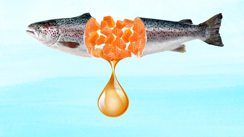 Cá béo cung cấp omega-3 EPA và DHA cùng nhiều dưỡng chất khác
