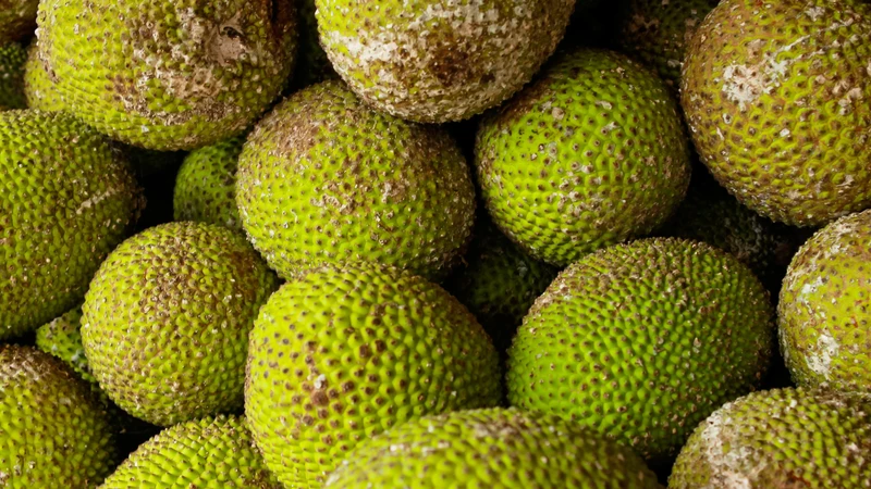 Quả sake là một thực phẩm bổ dưỡng nhưng cần được sử dụng đúng cách