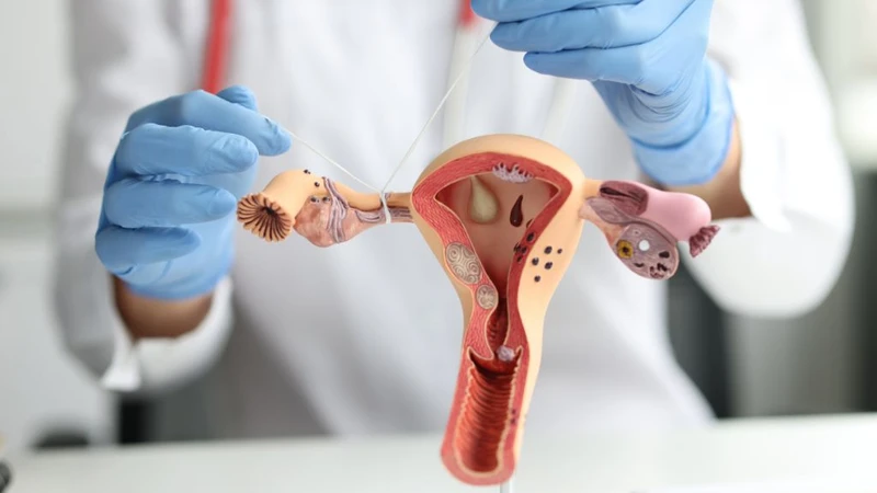 Tắc vòi trứng có thụ tinh nhân tạo được không? Những điều phụ nữ nên biết 1