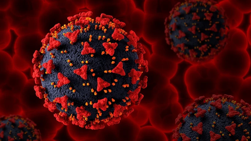 Tải lượng virus HIV là con số cho biết có bao nhiêu virus HIV trong 1 mL máu của người nhiễm