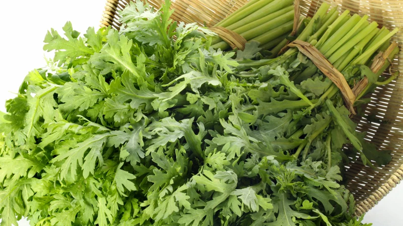 Rau tần ô và cải cúc là tên gọi chung của một loại rau