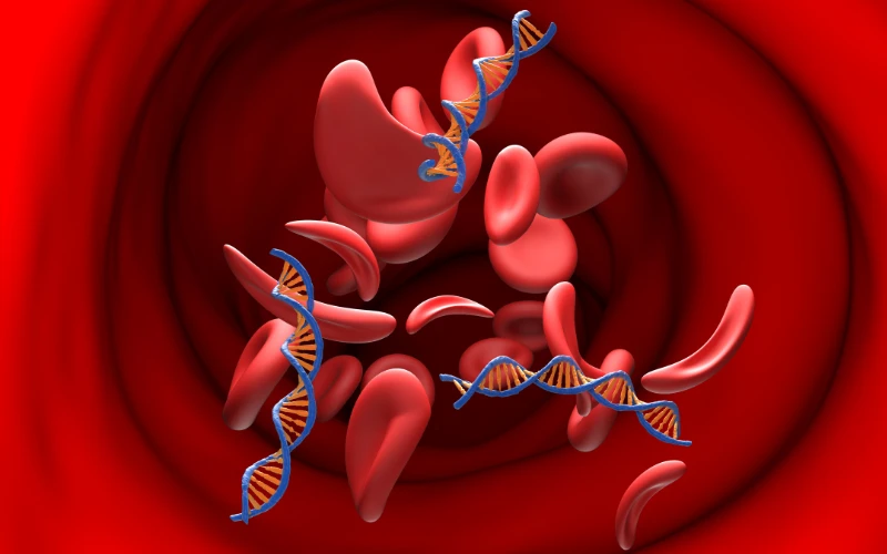 Tăng sinh tủy thường do xuất hiện đột biến gen trong quá trình sống