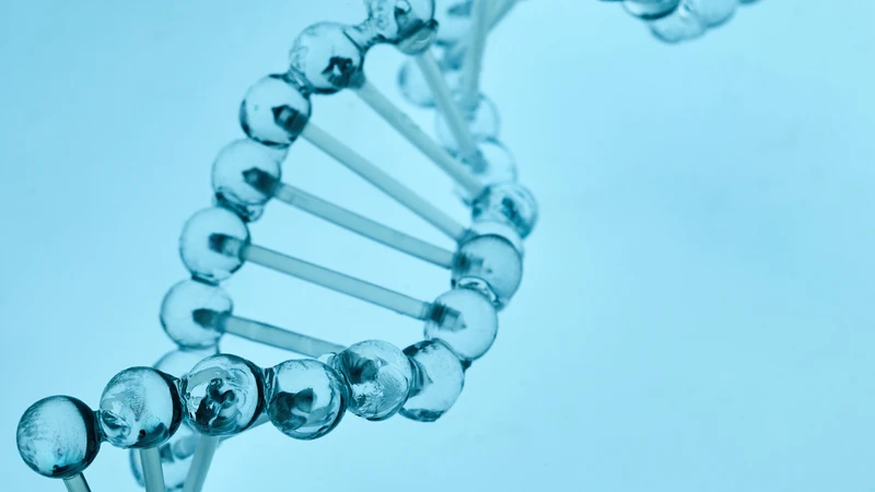 Một số trường hợp có liên quan đến thay đổi gene