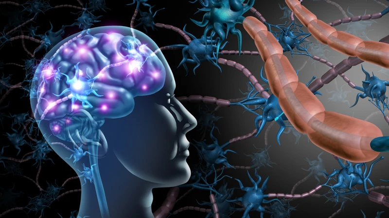 Tế bào Purkinje là mô hình nghiên cứu quan trọng giúp khám phá chức năng não bộ